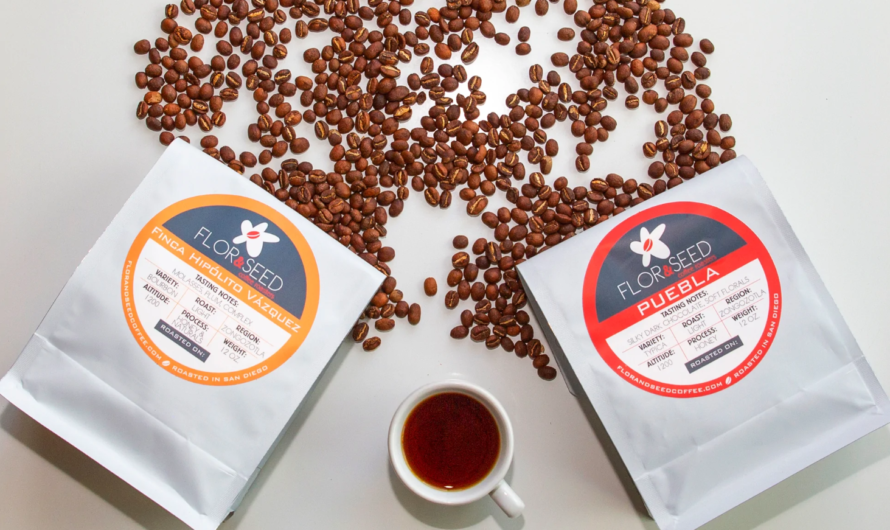Flor & Seed: Sustainable & Socially Responsible Coffee from Mexico