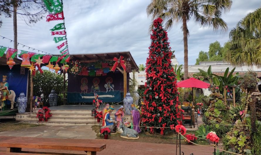 Fiesta de Reyes – Feliz Navidad
