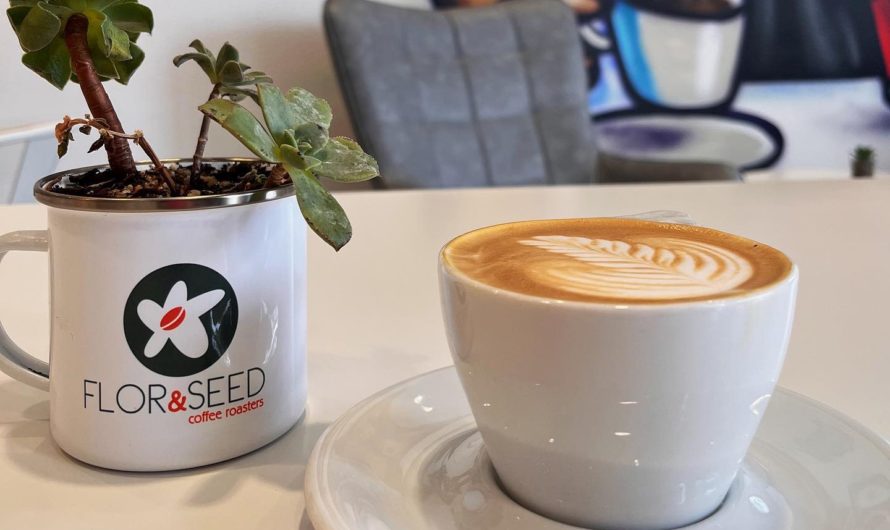 Flor & Seed: Where Mexican Coffee Meets Culinary Heritage in Every Cup