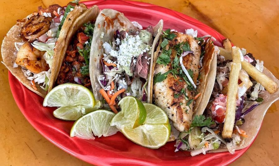 Tacos for Every Taste at Casa de Fred’s