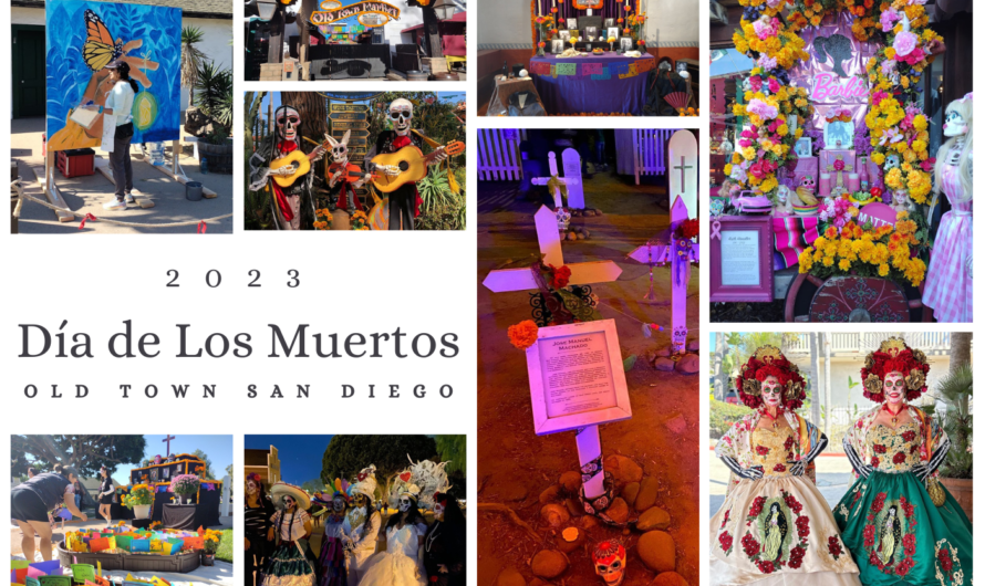 Looking Back on Día de Los Muertos 2023: A Celebration to Remember